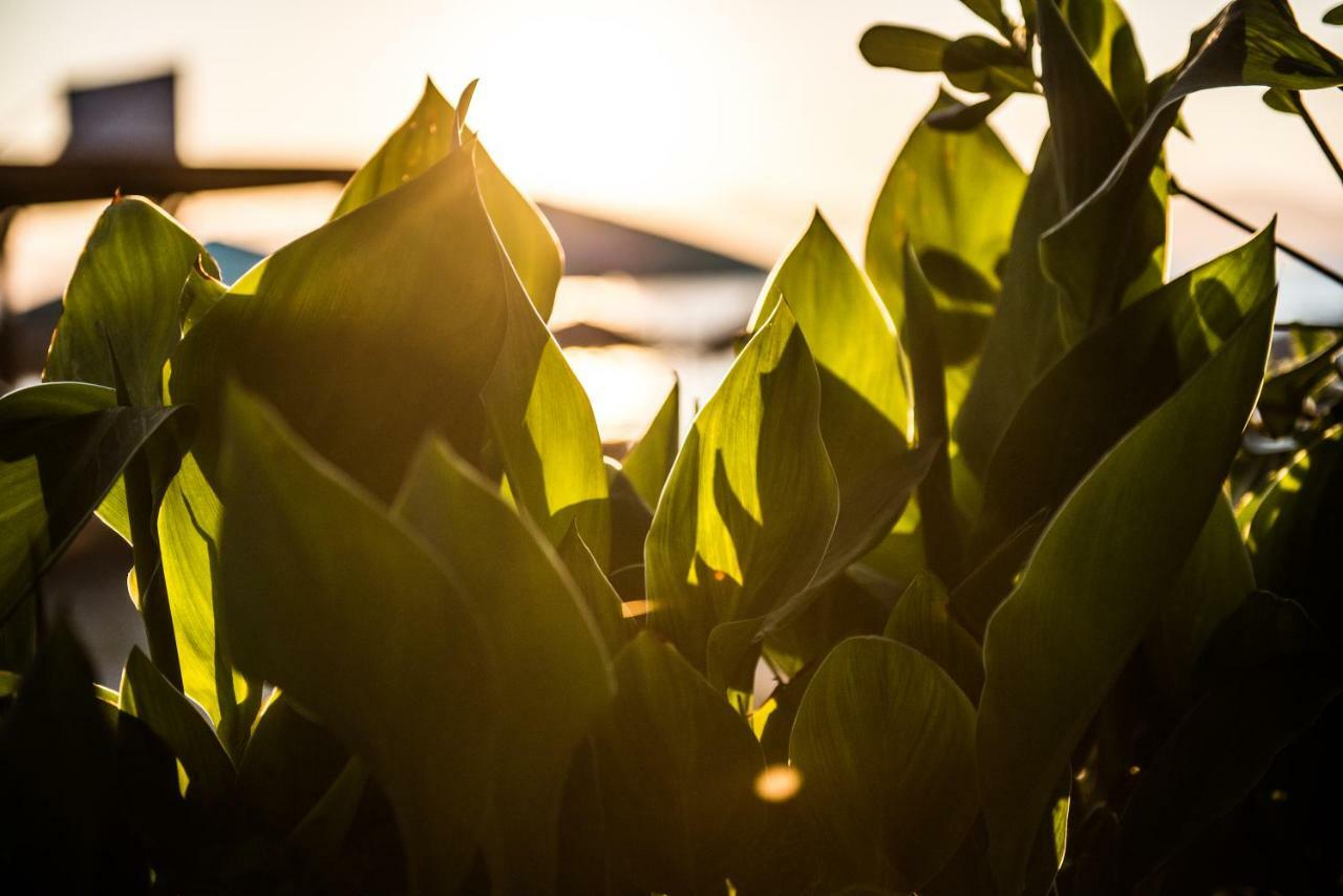 Sea Front Suites, Maisonettes & Apartments Agia Marina エクステリア 写真